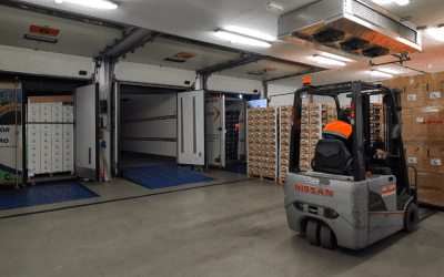 Ports of Tenerife are among the five leaders in fruit and vegetable traffic in Spain