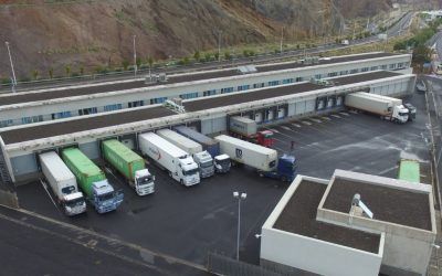 Puertos de Tenerife defiende la inspección de mercancías en domingo y acuerda solicitar personal al efecto