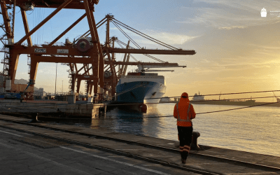 Puertos de Tenerife supera hasta en ocho tráficos la media de crecimiento del sistema portuario estatal