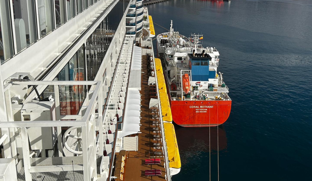 Primera escala del gran crucero AIDAcosma en el puerto de Santa Cruz de Tenerife