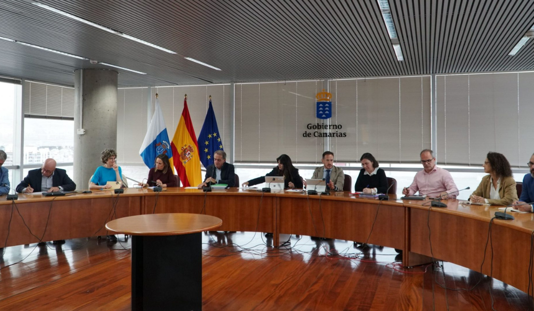 Transición Ecológica lidera en la primera Mesa de la Energía Eólica Marina en Canarias para avanzar en su implantación